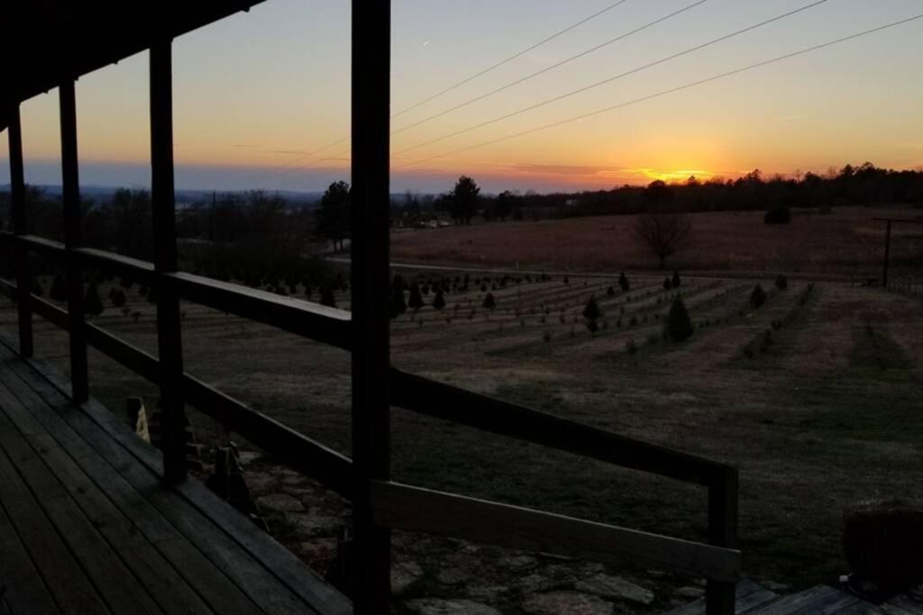 Rural Life On A Real Christmas Tree Farm! Hallmark Experience! Ozark Exterior photo