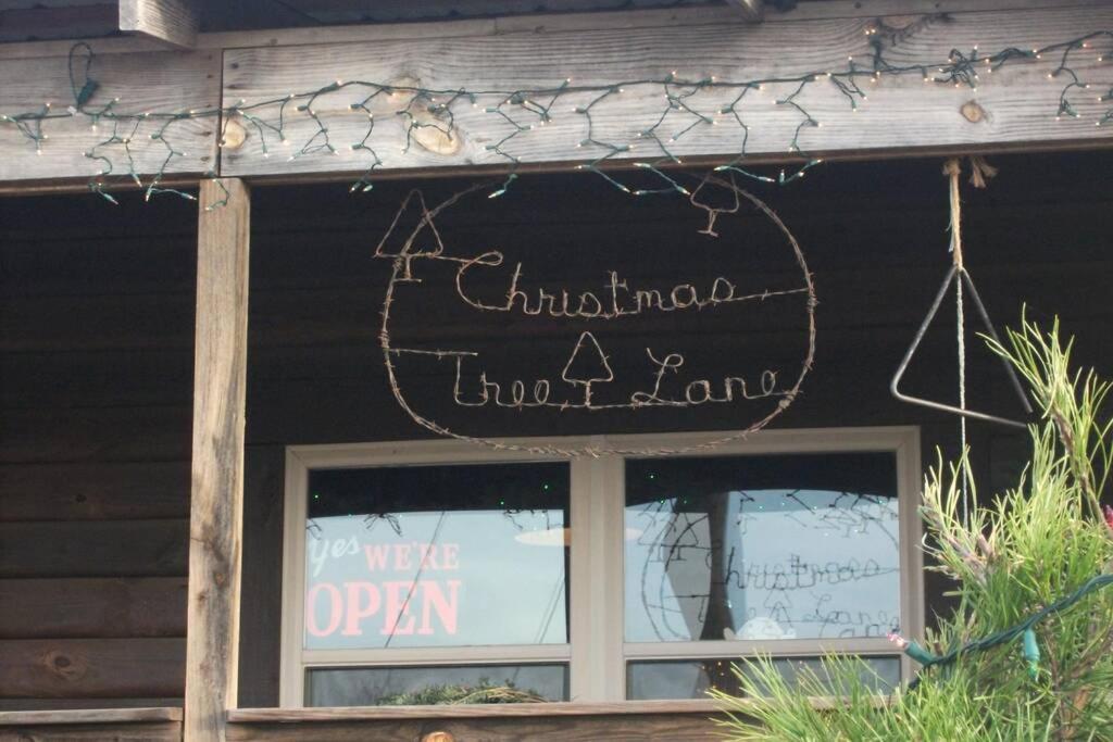 Rural Life On A Real Christmas Tree Farm! Hallmark Experience! Ozark Exterior photo