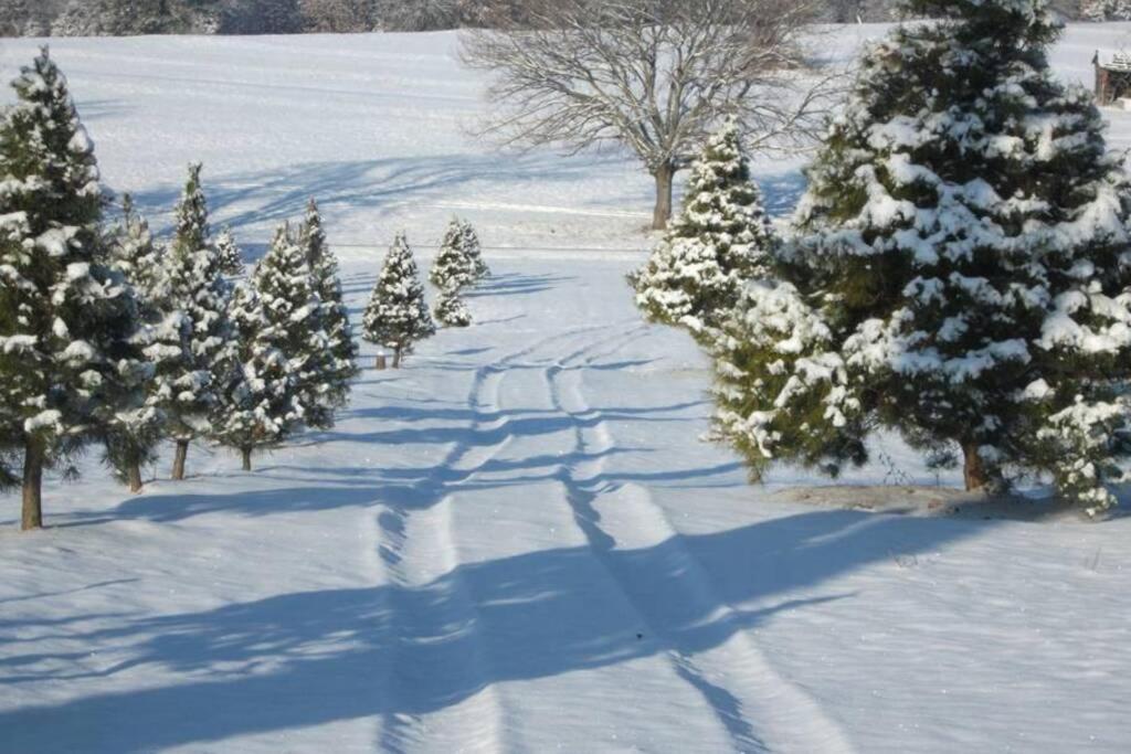 Rural Life On A Real Christmas Tree Farm! Hallmark Experience! Ozark Exterior photo