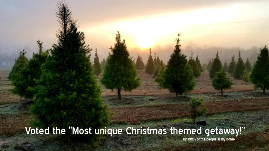 Rural Life On A Real Christmas Tree Farm! Hallmark Experience! Ozark Exterior photo