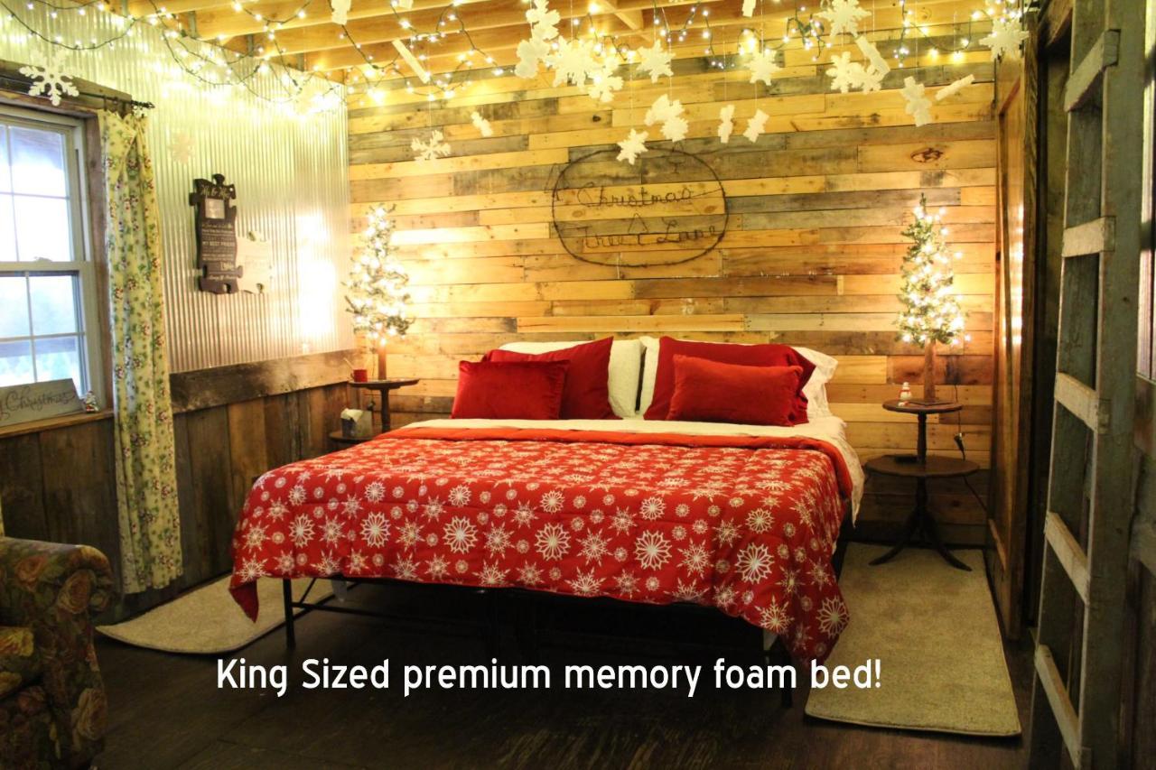 Rural Life On A Real Christmas Tree Farm! Hallmark Experience! Ozark Exterior photo