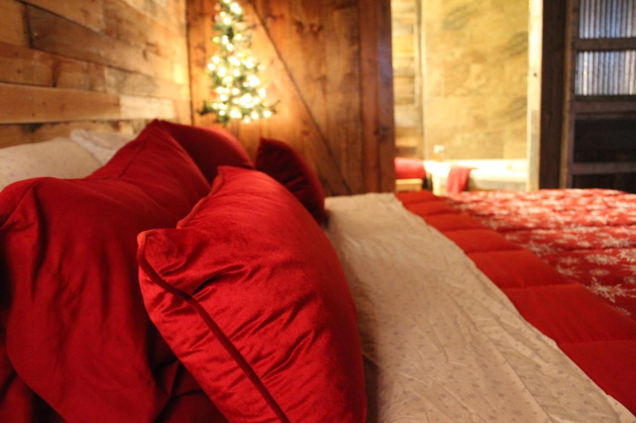 Rural Life On A Real Christmas Tree Farm! Hallmark Experience! Ozark Exterior photo