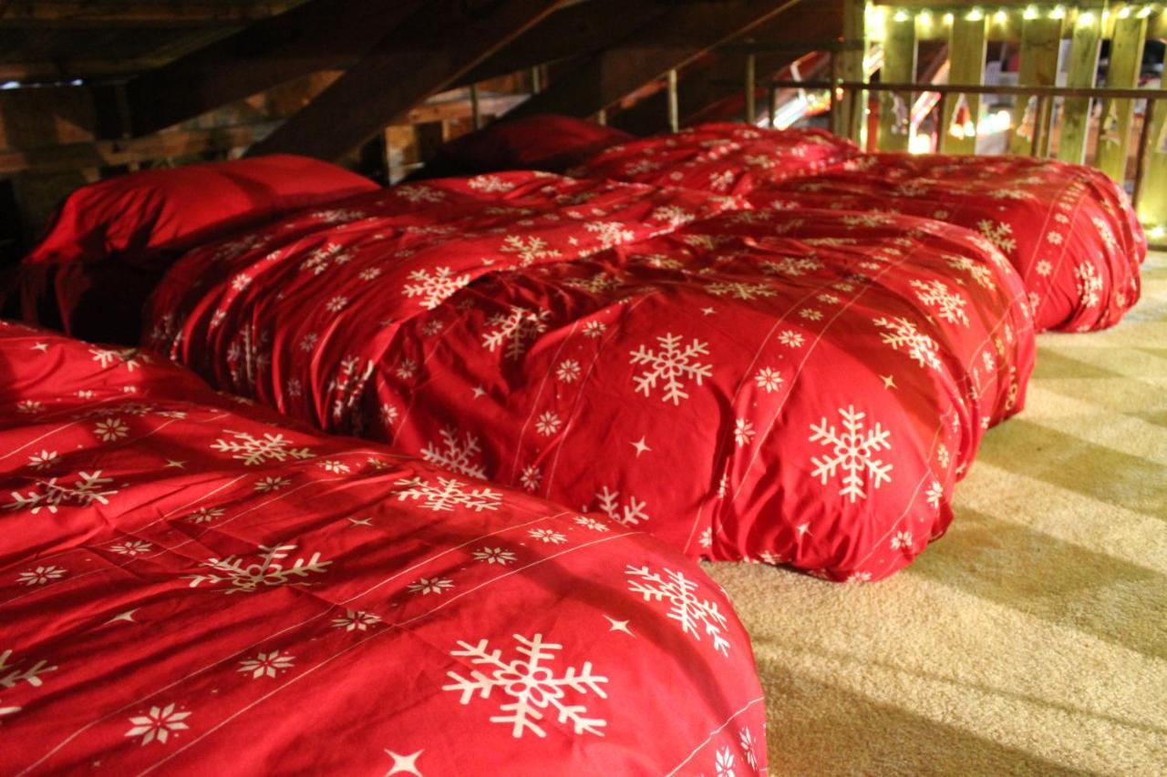 Rural Life On A Real Christmas Tree Farm! Hallmark Experience! Ozark Exterior photo