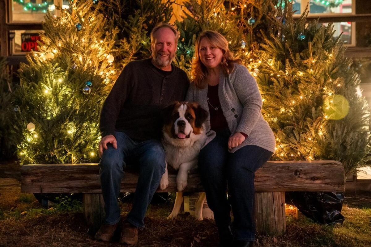 Rural Life On A Real Christmas Tree Farm! Hallmark Experience! Ozark Exterior photo