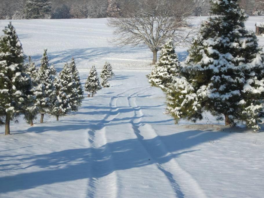 Rural Life On A Real Christmas Tree Farm! Hallmark Experience! Ozark Exterior photo