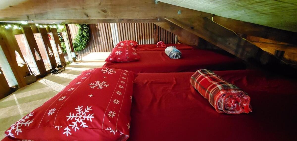 Rural Life On A Real Christmas Tree Farm! Hallmark Experience! Ozark Exterior photo
