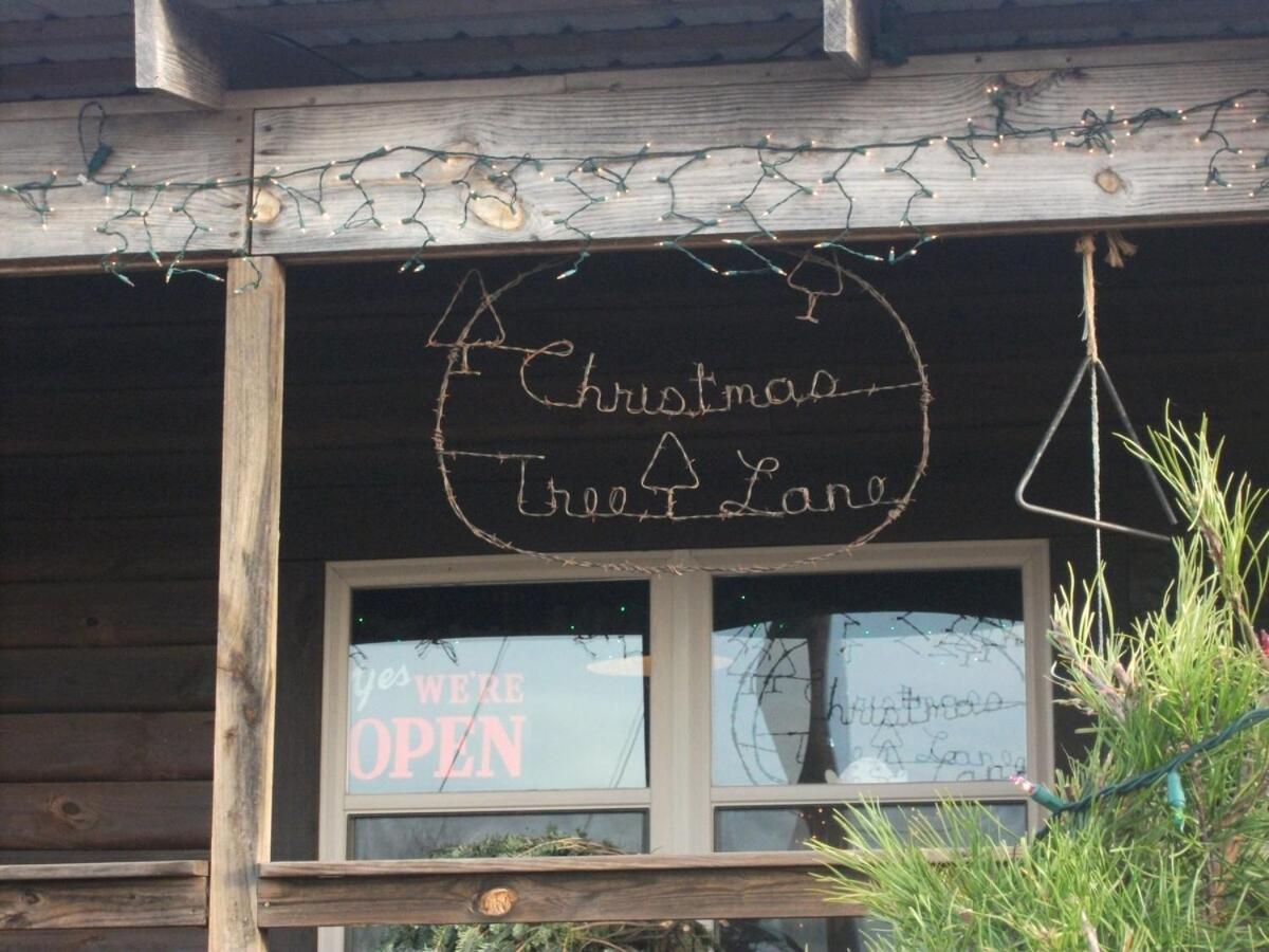 Rural Life On A Real Christmas Tree Farm! Hallmark Experience! Ozark Exterior photo