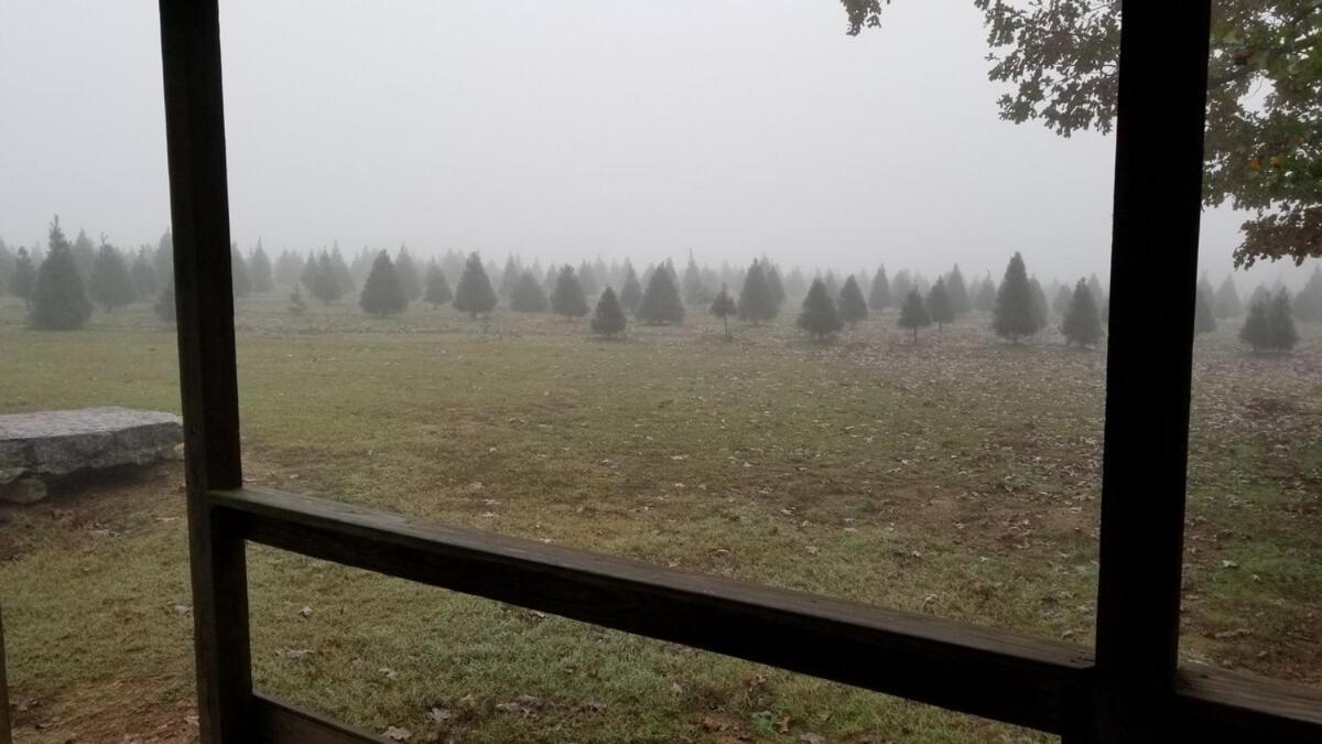 Rural Life On A Real Christmas Tree Farm! Hallmark Experience! Ozark Exterior photo