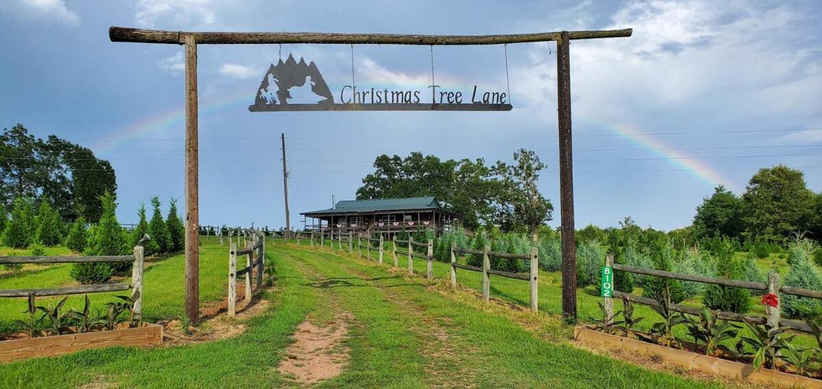 Rural Life On A Real Christmas Tree Farm! Hallmark Experience! Ozark Exterior photo